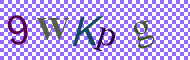 CAPTCHA code